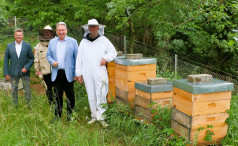 300 Bienenvölker haben in geschützten Gebieten eine neue und gesunde Heimat gefunden